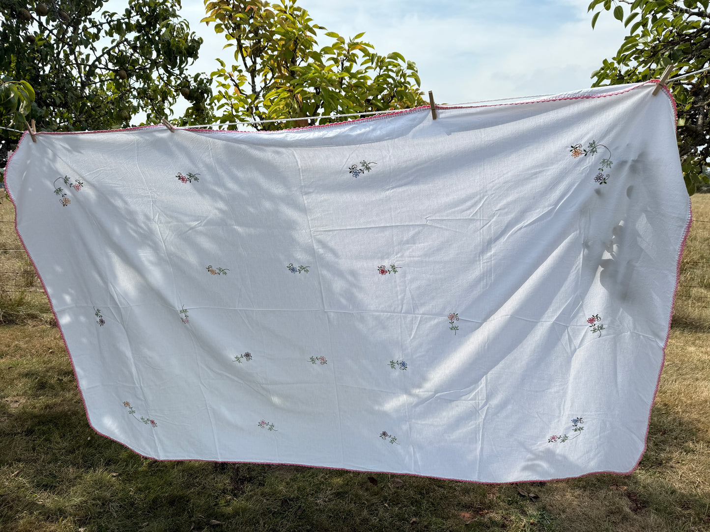 AA.colorful daisy with pink crochet edging 60" x 90"