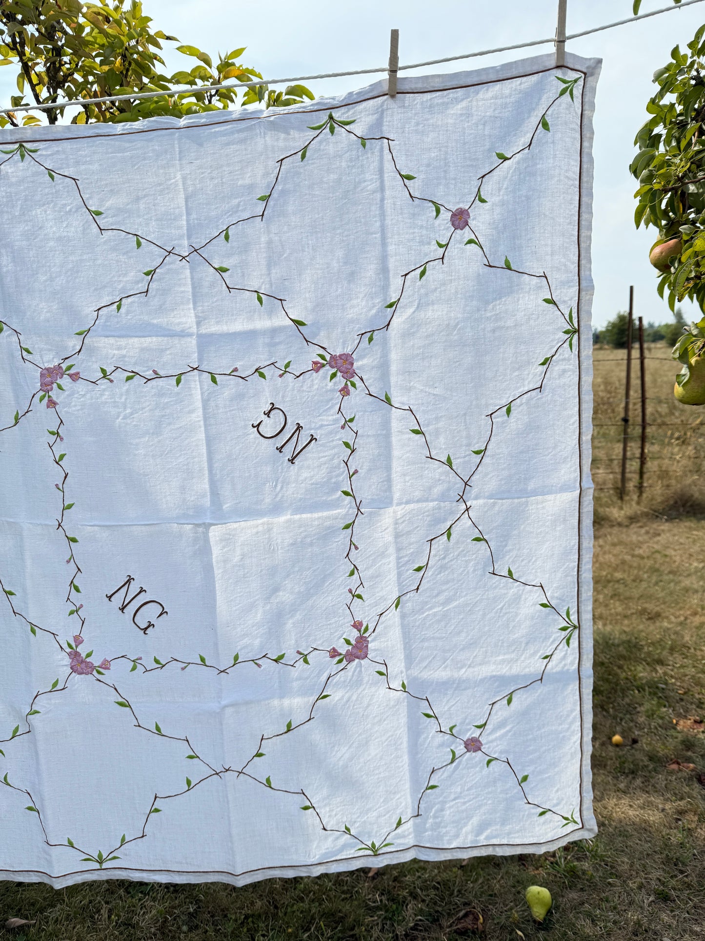 AA. pink cherry blossoms 42" x 42"