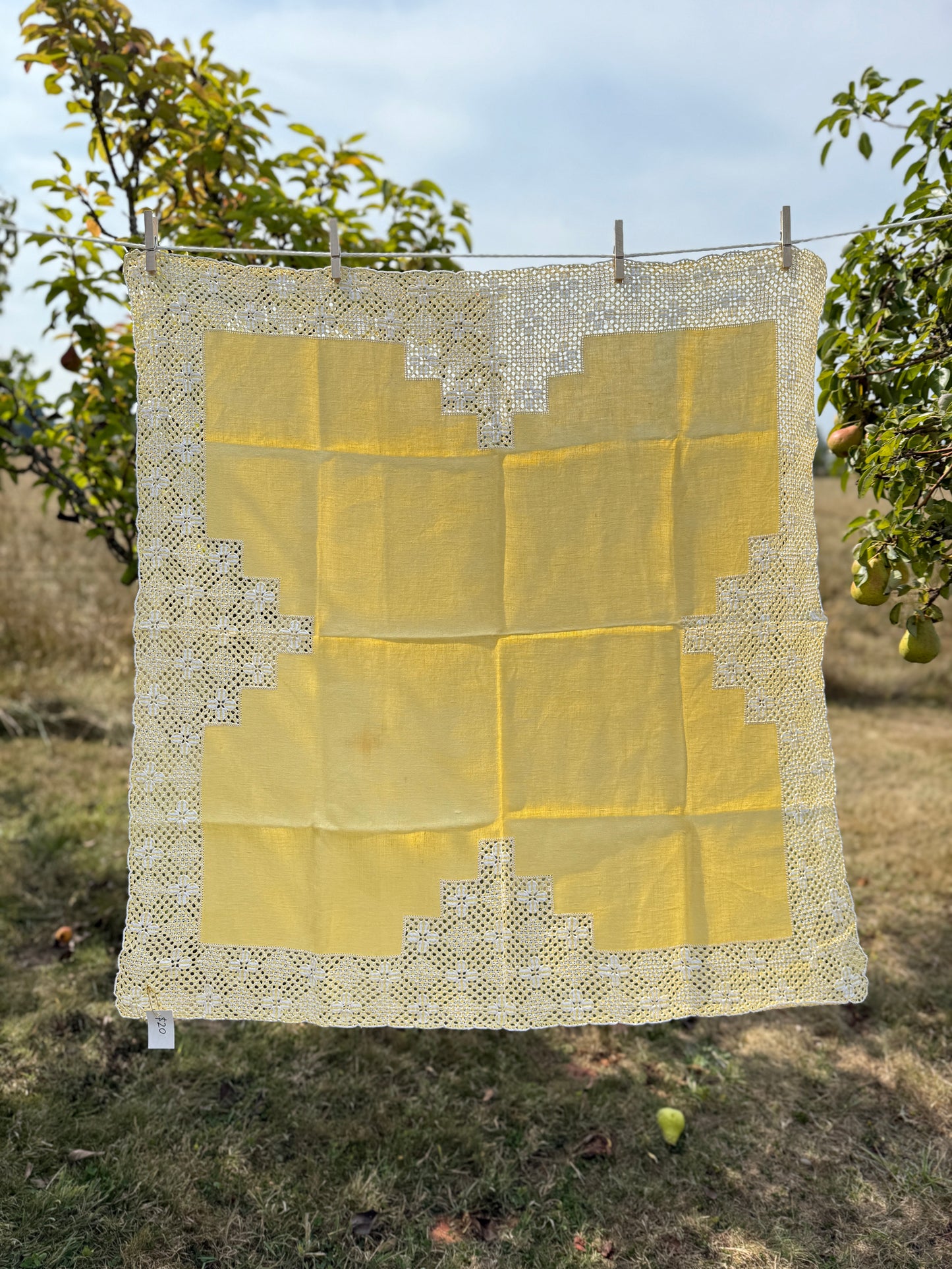 AA. yellow linen 34" x 35"