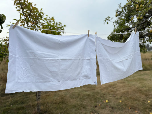 AA. Pair of pillow shams with white embroidery