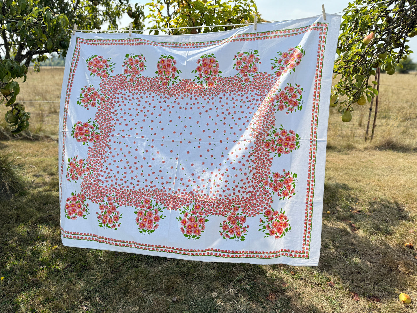 AA. printed colorful daisy  62" x 49"