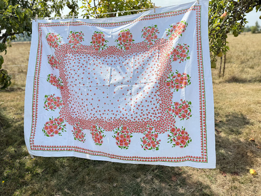 AA. printed colorful daisy  62" x 49"