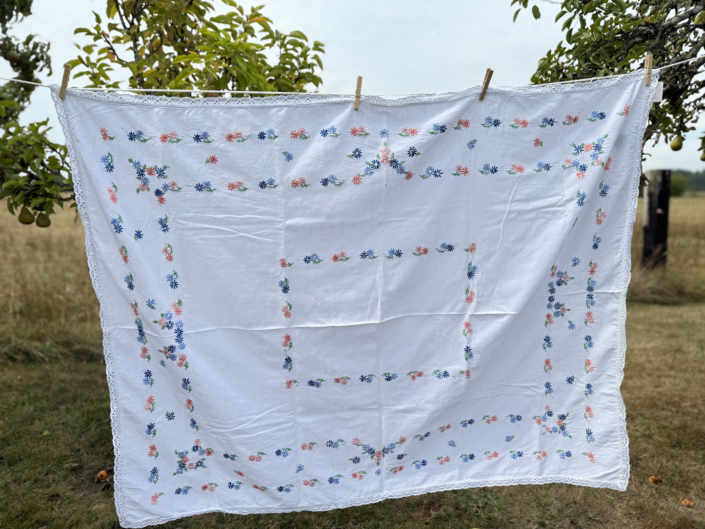 AA. peach and blue daisy embroidered with eyelet 47" x 58"