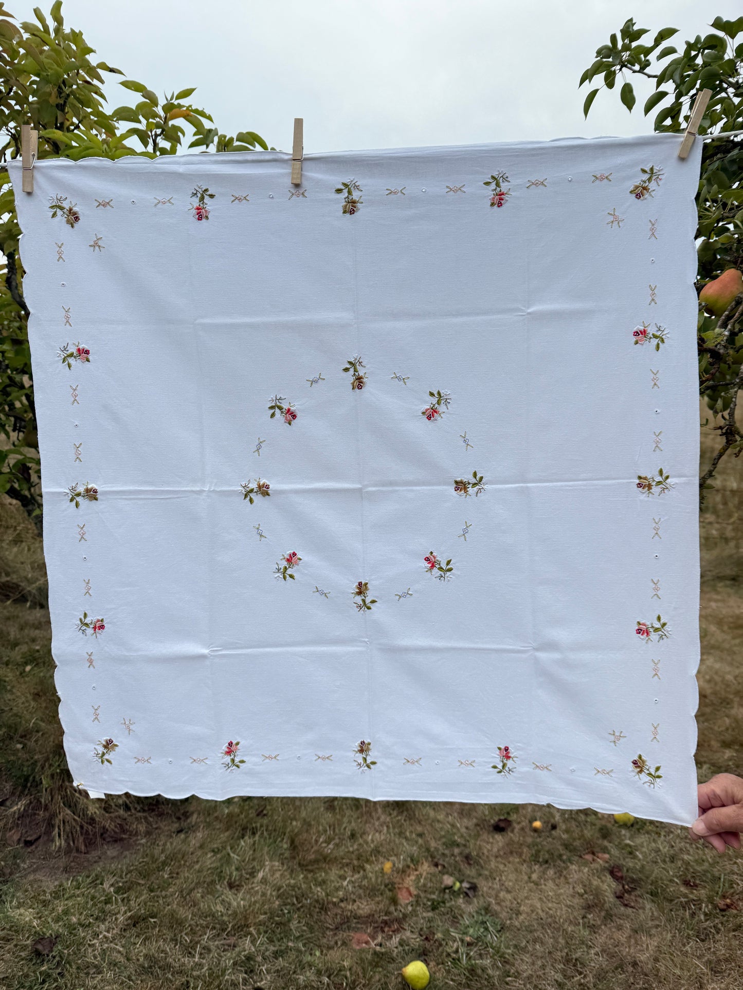 AA. white with pink roses 31" x 31"