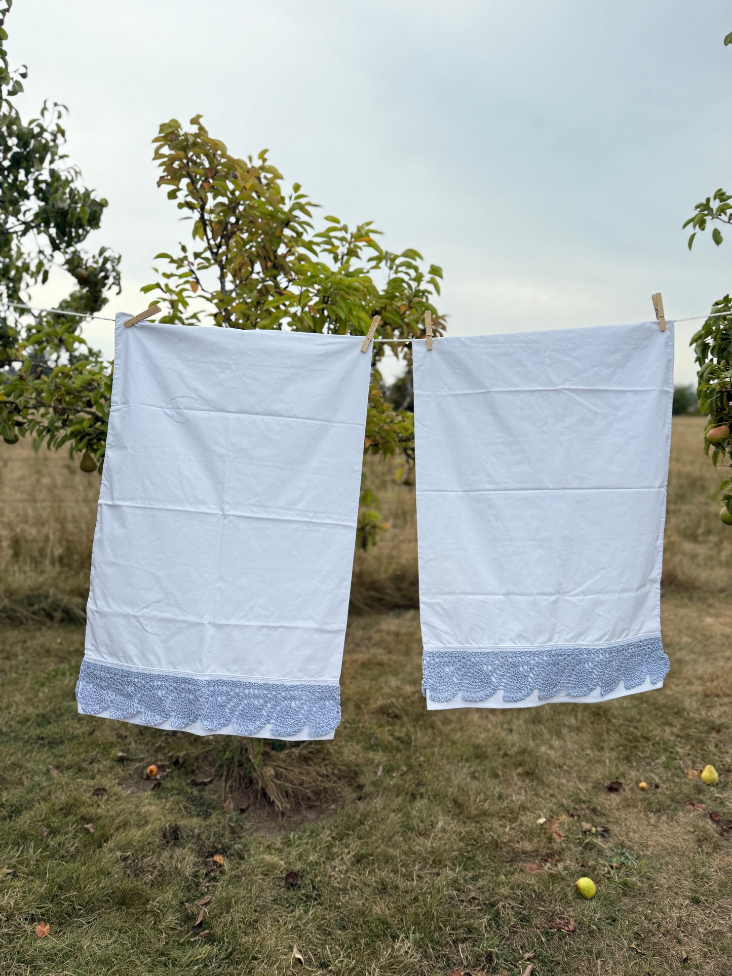 AA. Pair of pillowcases with blue crochet