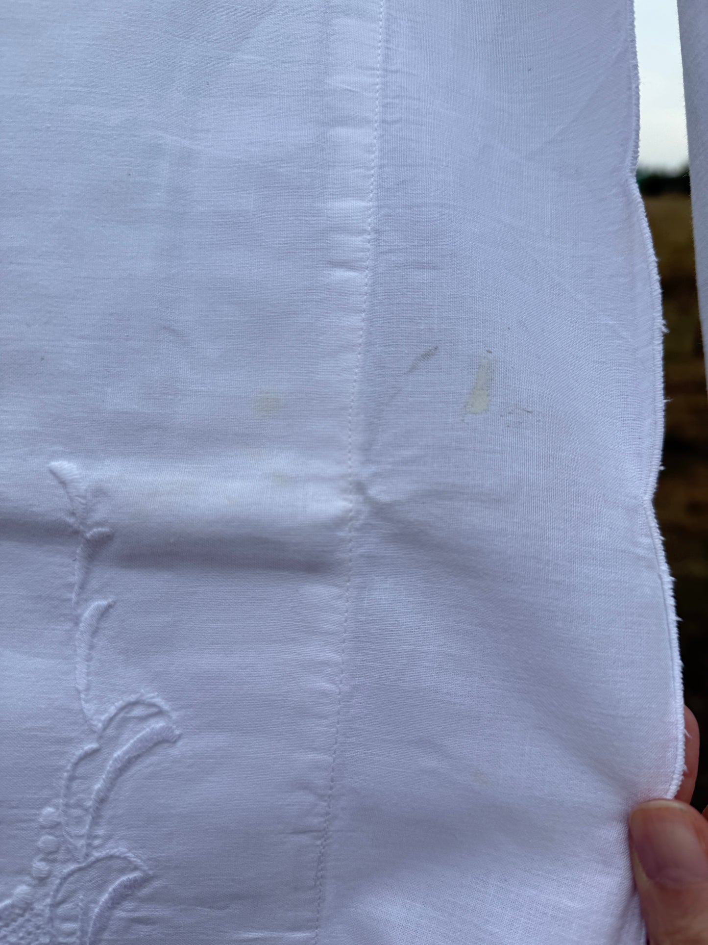 AA. Pair of pillow shams with white embroidery